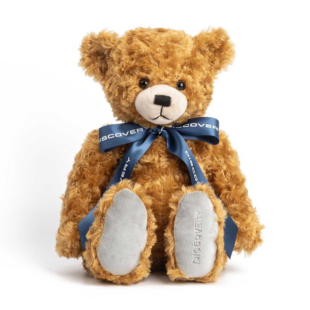 Discovery Bear