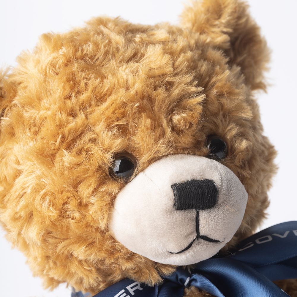Land Rover | The Discovery Collection | Discovery Bear